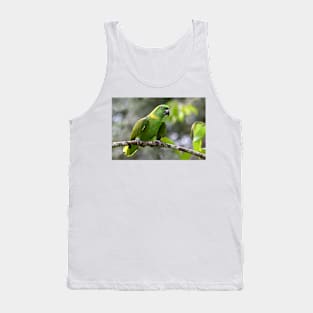 Green-naped Parrot - Costa Rica Tank Top